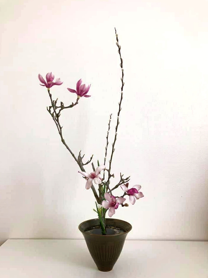 Catherine Cohen : Ikebana Shimputai