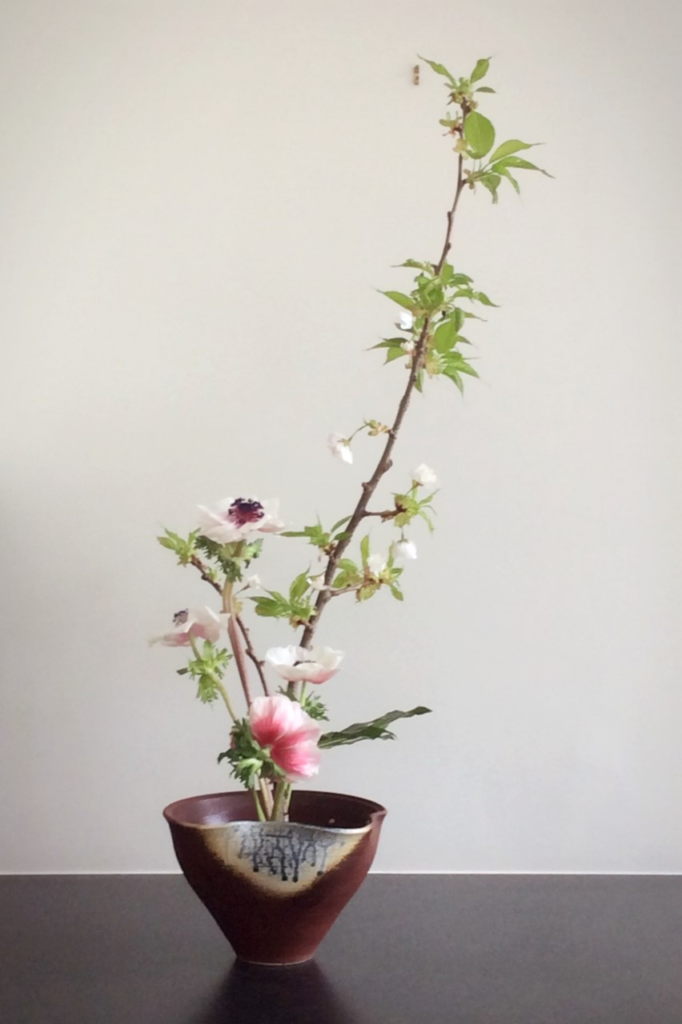 Safi Christine : Ikebana Jiyuka